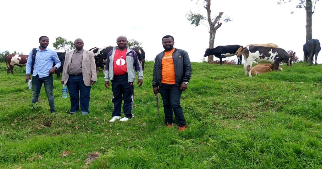 Projet d’appui à l’amélioration des conditions de vie des ménages des populations autochtones pygmées vivant aux alentours du PNKB en Territoire de Kabare à travers l’élevage des bovins